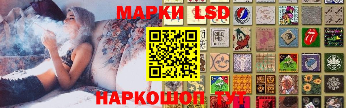 Ачхой-Мартан  Лсд 25 экстази кислота  Вход с VPN  ЛСД экстази  LSD-25 экстази кислота 