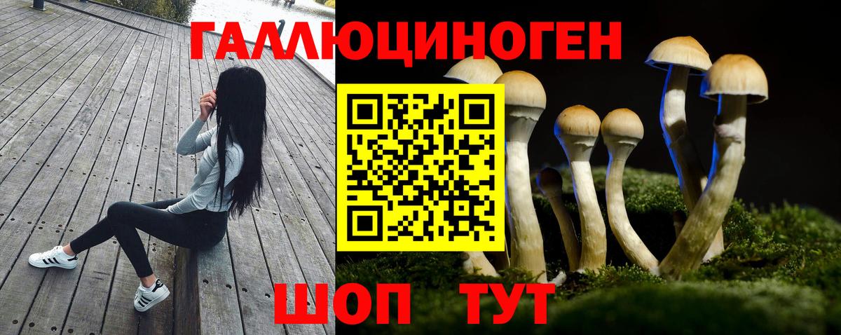 Ачхой-Мартан  Псилоцибиновые грибы Cubensis  Галлюциногенные грибы прущие грибы  Вход с VPN 